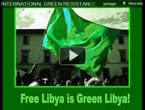 Video Int Green Resist